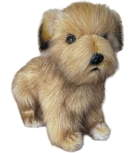 Amazon.co.jp: シュタイフ(steiff) ヨークシャテリアのヘラクレス 24cm